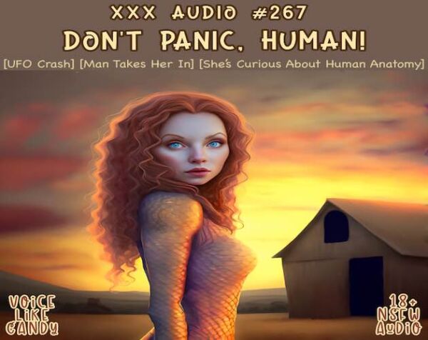 267-Don’t Panic, Human!
